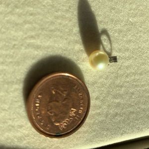 Pearl for a necklace